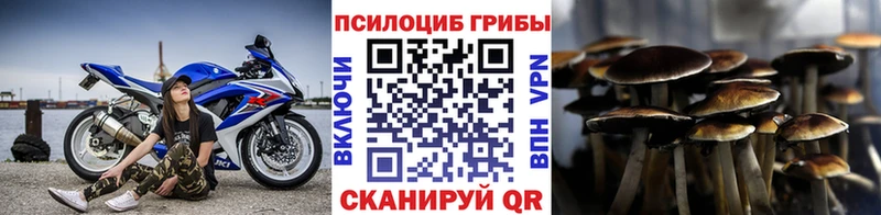 Псилоцибиновые грибы мухоморы  Устюжна 